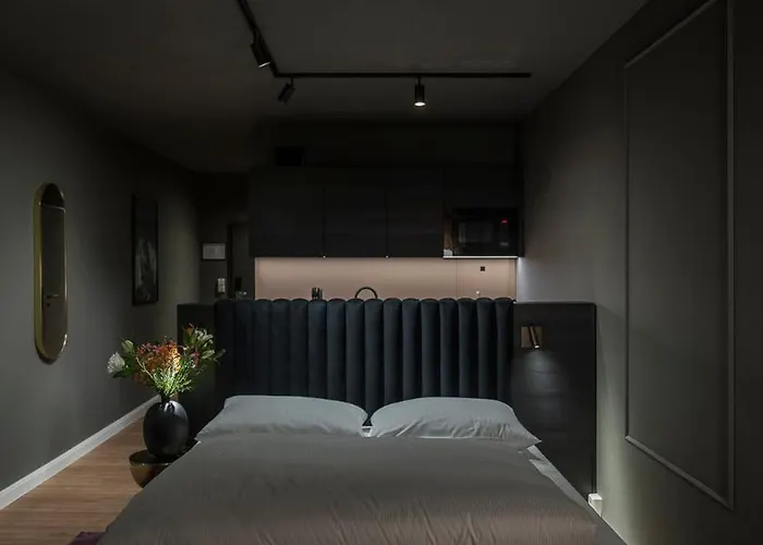 Leipzig Suites מלון דירות לייפציג